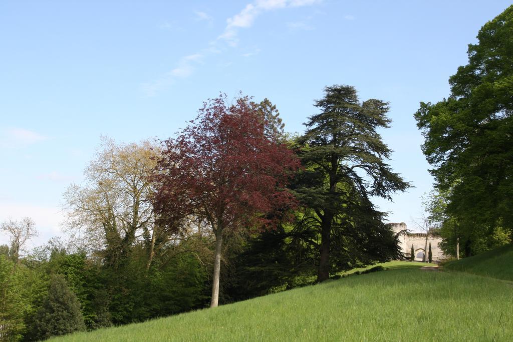 Holiday home Aux Grilles Du Chateau De Saint-aignan, A 2km De Beauval, Les Maisons De Sidonie Et Leonard