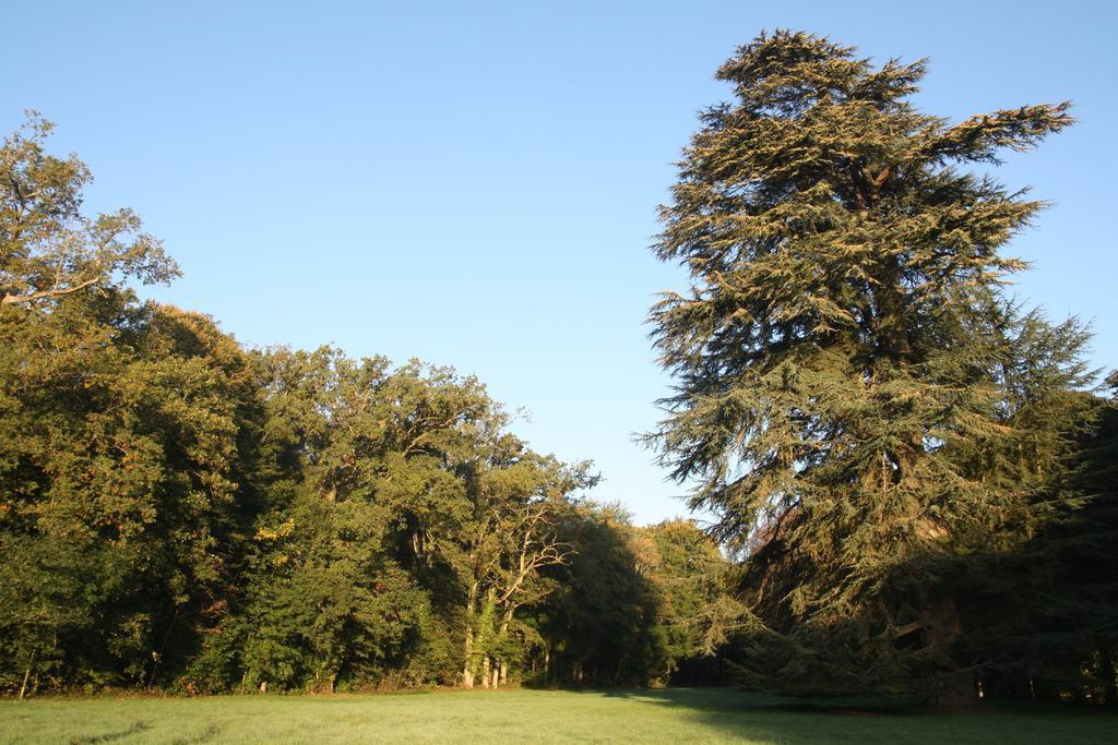Aux Grilles Du Chateau De Saint-aignan, A 2km De Beauval, Les Maisons De Sidonie Et Leonard