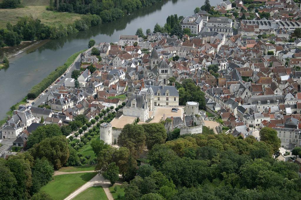Aux Grilles Du Chateau De Saint-aignan, A 2km De Beauval, Les Maisons De Sidonie Et Leonard